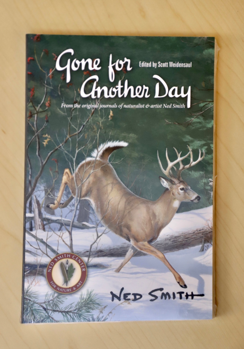 448 Gone for Another Day - Soft Cover