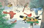 Product Description: 1474 Winter Colors Framed or Unframed</br></br>The stillness of a winter morning is broken by a flurry of wings around a backyard bird feeder. This exclusive release of Ned Smith’sWinter Colorsmarks a collaboration between the National Audubon Society and the Ned Smith Center for Nature and Art.</br></br>Frame Size: 22" x 30" Opening: 16.5" x 24.5"</br> 1474 Winter Colors Framed or Unframed