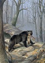 Product Description: 540 2006 Autumn's Last Harvest Framed or Unframed</br></br>Frame Size23″ x 29.5″ Frame opening is 17.5"x24"</br> 540 2006 Autumn's Last Harvest Framed or Unframed