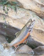 Product Description: 536 Sting of the Hook Framed or Unframed</br></br>Frame Size: 22.5" x 26.5" Opening: 15.5" x 19.5"</br> 536 Sting of the Hook Framed or Unframed