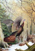 Product Description: 1528 2015 King of the Mountain Framed or Unframed</br></br>With the forest blanketed with the first snow of the season, a big wild turkey gobbler takes flight, sunlight glinting off his iridescent bronze feathers. This acrylic painting by Ned Smith, done for a private commission, has never been published in any form before — a stunning example of a wildlife artist at the peak of his powers.</br></br>Image opening: 13″ x 18.75″</br>Framesize: 18″ x 24″</br> 1528 2015 King of the Mountain Framed or Unframed