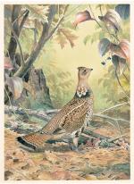 Product Description: 2010 Greenbrier Grouse Framed or Unframed</br></br>Alert for danger, a ruffed grouse eyes up a cluster of greenbrier berries on an autumn morning, in this stunning watercolor by Ned Smith. Painted in 1978 as a private commission, and published here for the first time,Greenbrier Grouseis one of the finest depictions of this great American gamebird, by one of America’s most accomplished nature artists. Thank you to Joe and Jean McMillan for allowing us the use of this image.</br></br>Frame Size: 23" x 29" Opening: 17.5" x 23.5"</br> 1482 2010 Greenbrier Grouse Framed or Unframed