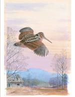 Product Description: 2008 Sunset Woodcock Framed or Unframed</br></br>Rising against the last warm light of an early spring evening, a male American woodcock performs his courtship flight, the famous “skydance” that transforms this pudgy, bug-eyed shorebird into a graceful aerialist. Now, this Ned Smith watercolor, originally commissioned for the April 1974 cover ofPennsylvania Game Newsmagazine, is available as a fine-art print from the Ned Smith Center for Nature and Art.</br></br>Frame Size 19.75″ x 26.25" Opening: 20.75″</br> 575 2008 Sunset Woodcock Framed or Unframed