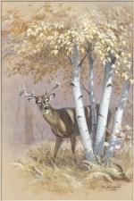 Product Description: 2003 Birch Bottom Buck Framed or Unframed</br></br>Frame Size 18"x24"  Opening is 12.75x18.625</br> 520 2003 Birch Bottom Buck Framed or Unframed
