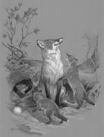 Product Description: Mother's Day Fox; Gone for the Day Framed or Unframed</br></br>In April 1969, Ned recounts how he observed five red fox pups, which he described as “the personification of perpetual motion,” as they excitedly greeted their mother upon her return from a successful hunt.</br>The print will be released in an edition of 600 prints, the same edition size that Ned Smith used during his lifetime.</br></br>Frame Size: 16.5" x 22" Opening: 11x16</br> 720 Mother's Day Fox: GFTD Framed or Unfra