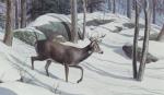 Product Description: Moonlight Buck Framed or Unframed</br></br>Frame Size: 26" x 18" Opening: 20.25" x 12.25"</br> 526 Moonlight Buck Framed or Unframed