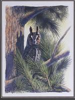 Product Description: David Sibley's: Long-Eared Owl Framed or Unframed by David Sibley</br></br>Frame Size: 18" x 21.5" Opening Size: 12.5" x 16"</br> 553 Long-Eared Owl Framed or Unframed