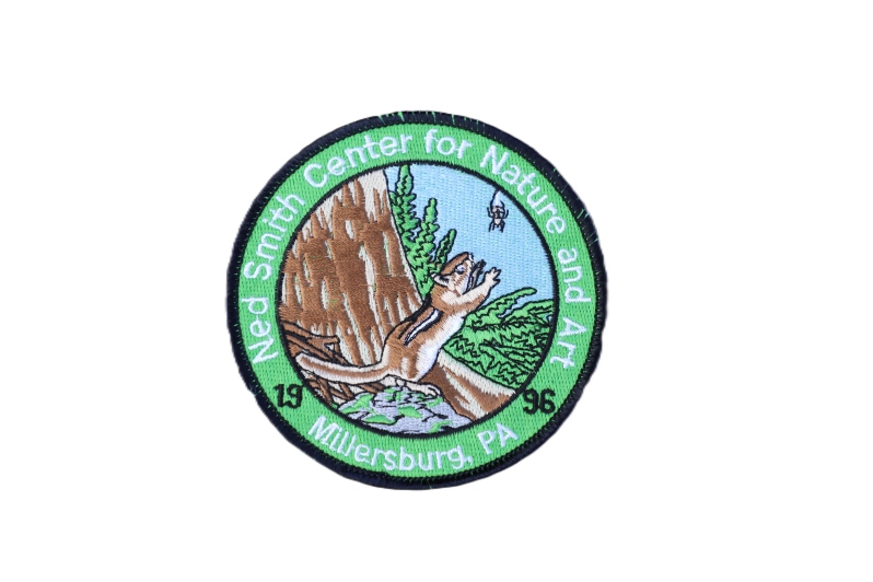 Product Description: 179 1996 Signature Series Inquisitive Patch