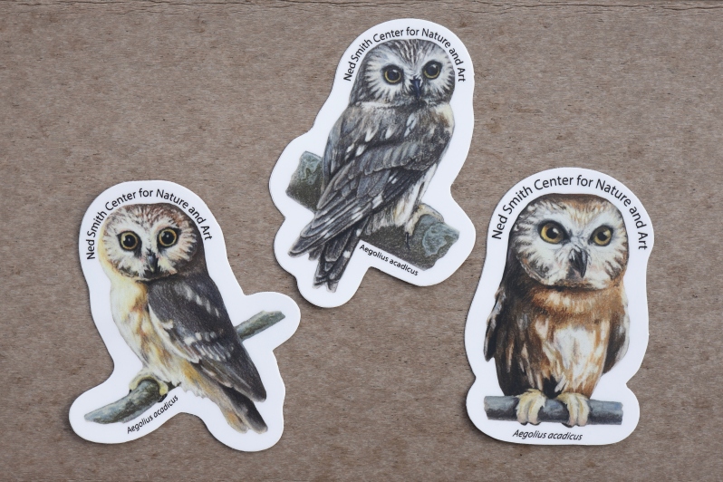 Product Description: Saw Whet Owl Sticker supports our Northern Saw Whet Owl Banding Program</br> Saw-Whet Owl Sticker