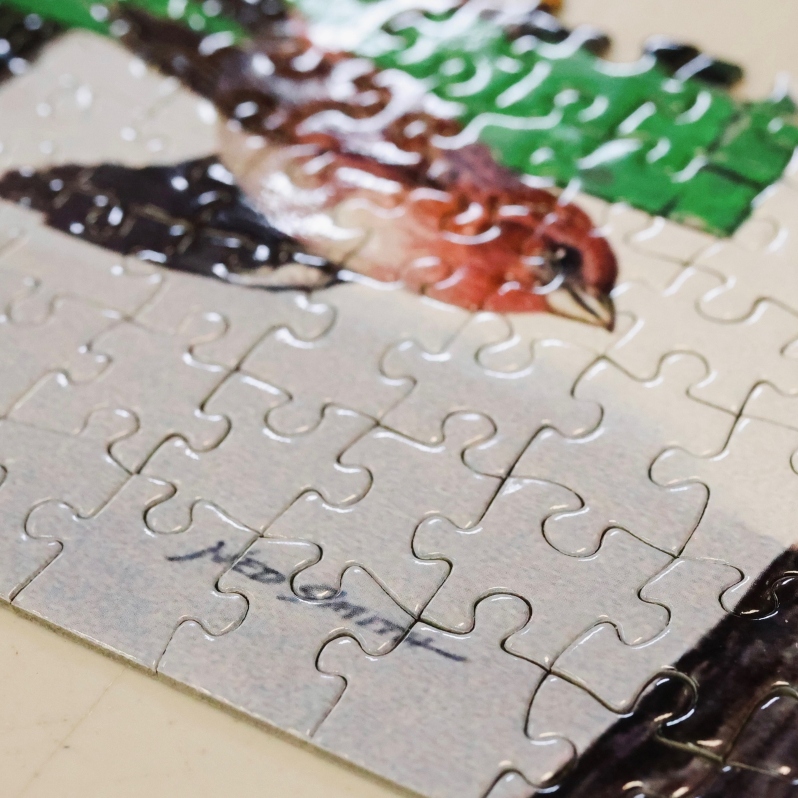 Ned Smith Puzzle